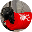 Davina Jarvis profile picture